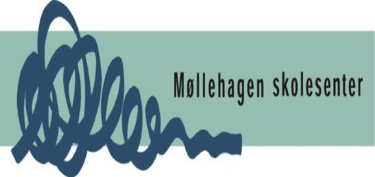 Veileder for grunnskoleteamet på Møllehagen skolesenter