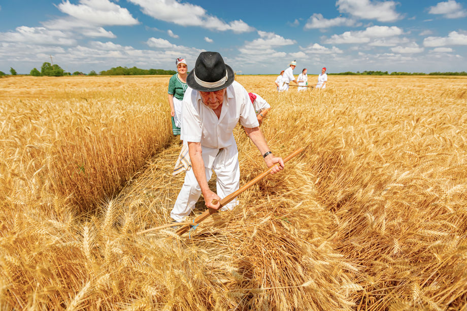 Миссия в труде: христианский исторический опыт