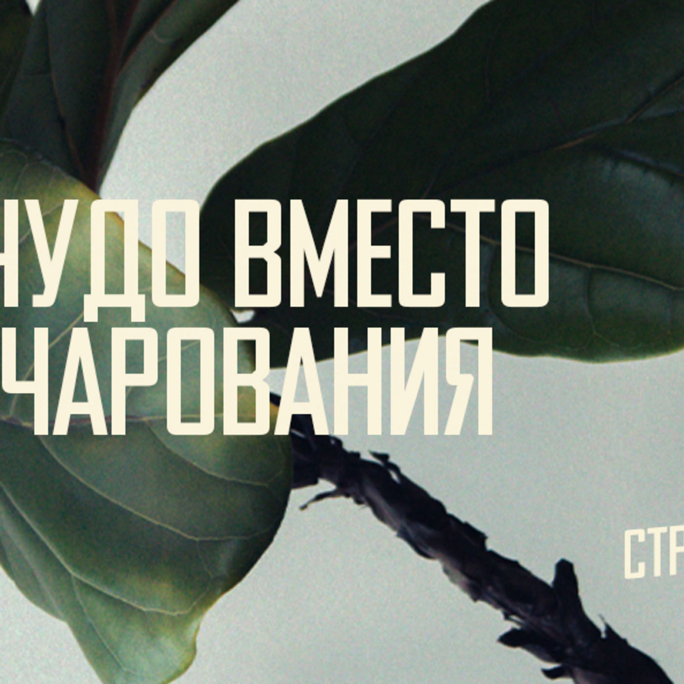 [МАТФЕЙ 096] Чудо вместо разочарования episode artwork