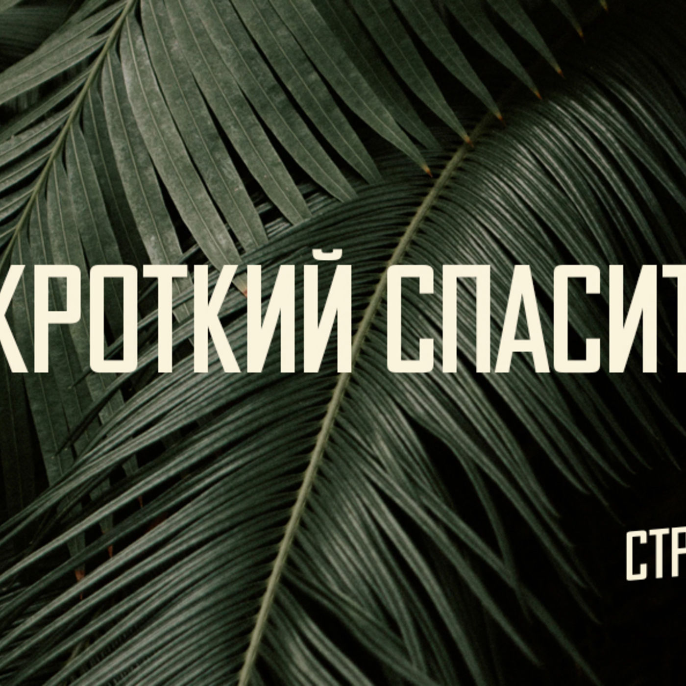 [МАТФЕЙ 094] Как принять кроткого Спасителя, чтобы не кричать «распни»? episode artwork