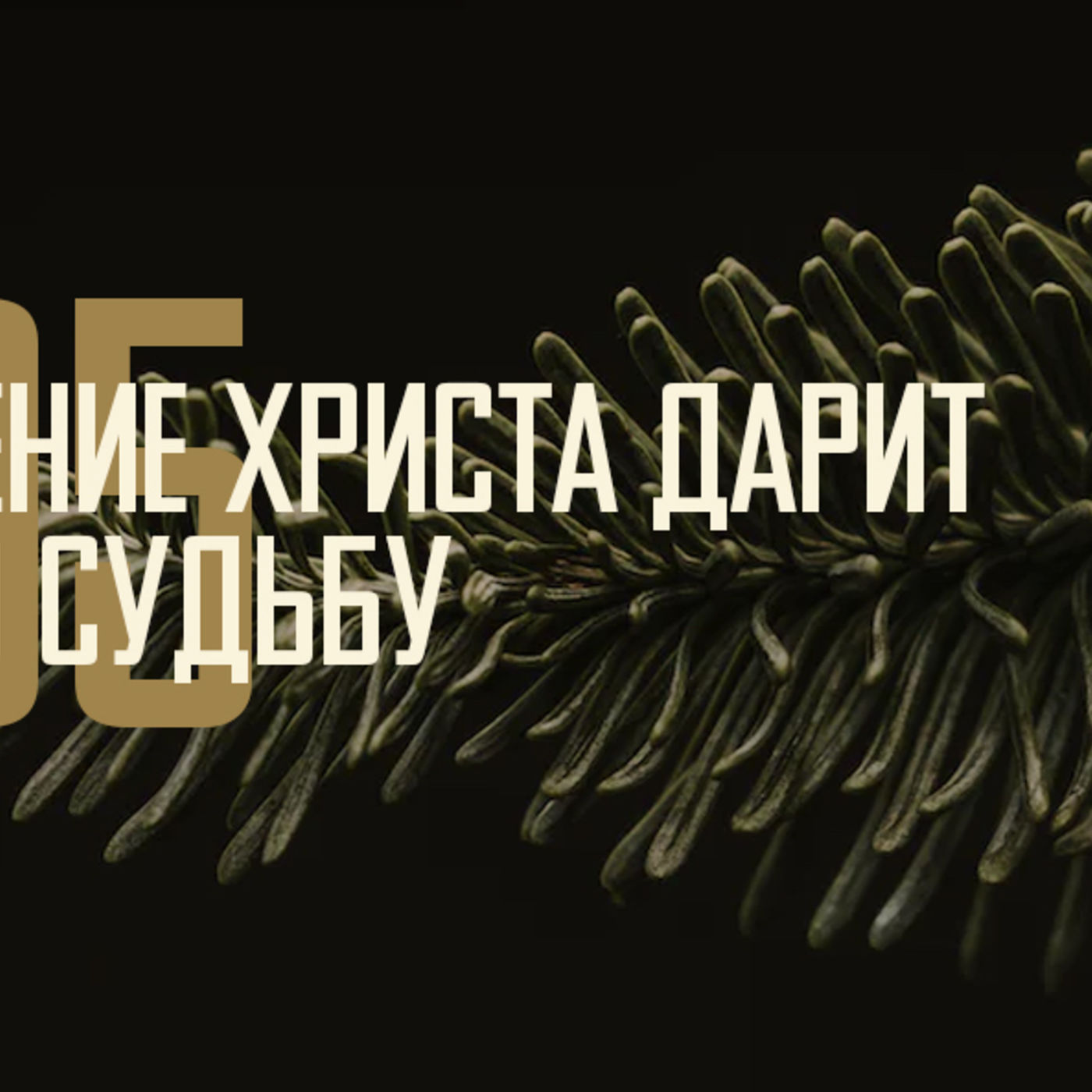 [ЧЕТЫРЕ РОЖДЕСТВА 005] Рождение Христа дарит новую судьбу episode artwork