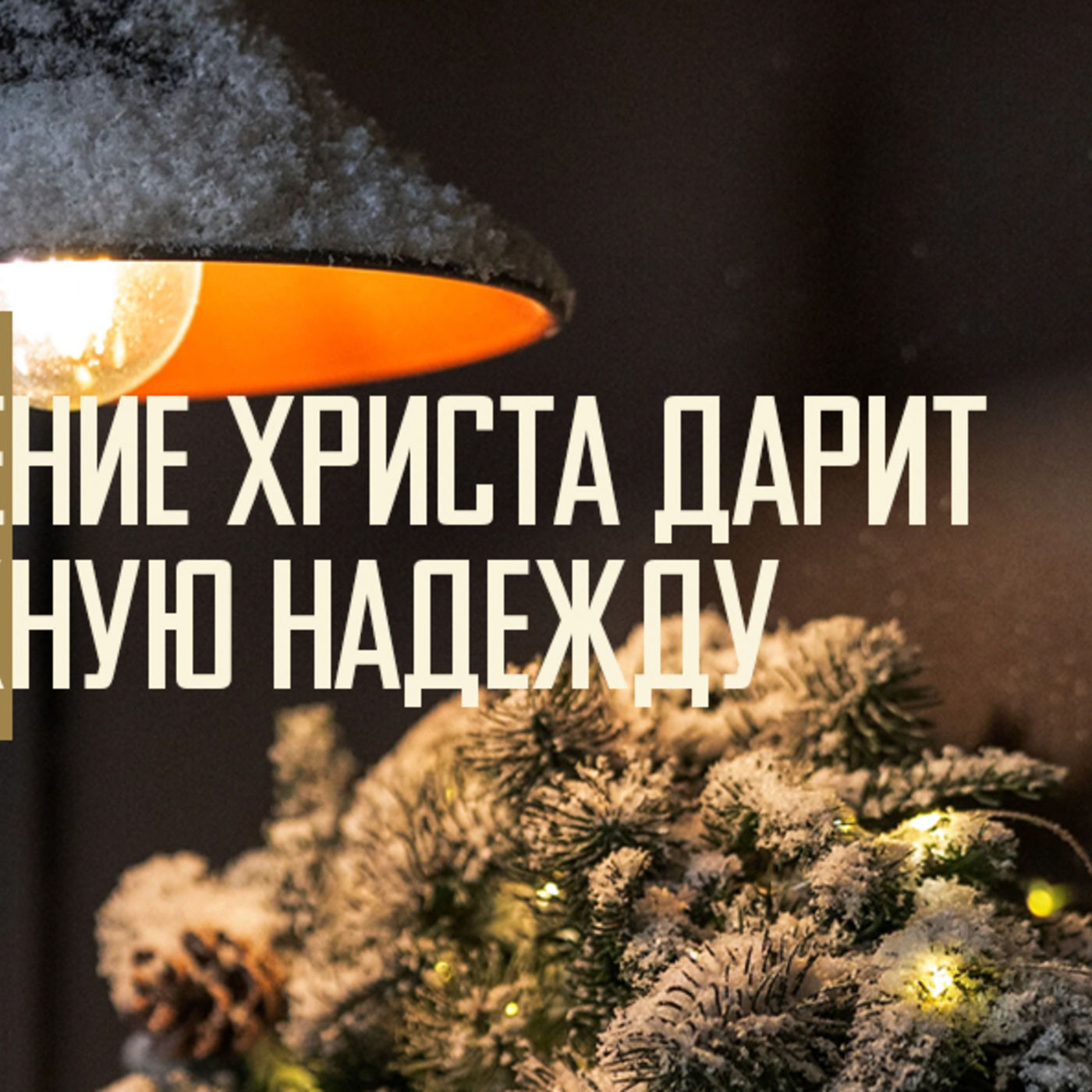 [ЧЕТЫРЕ РОЖДЕСТВА 001] Рождение Христа дарит надёжную надежду episode artwork