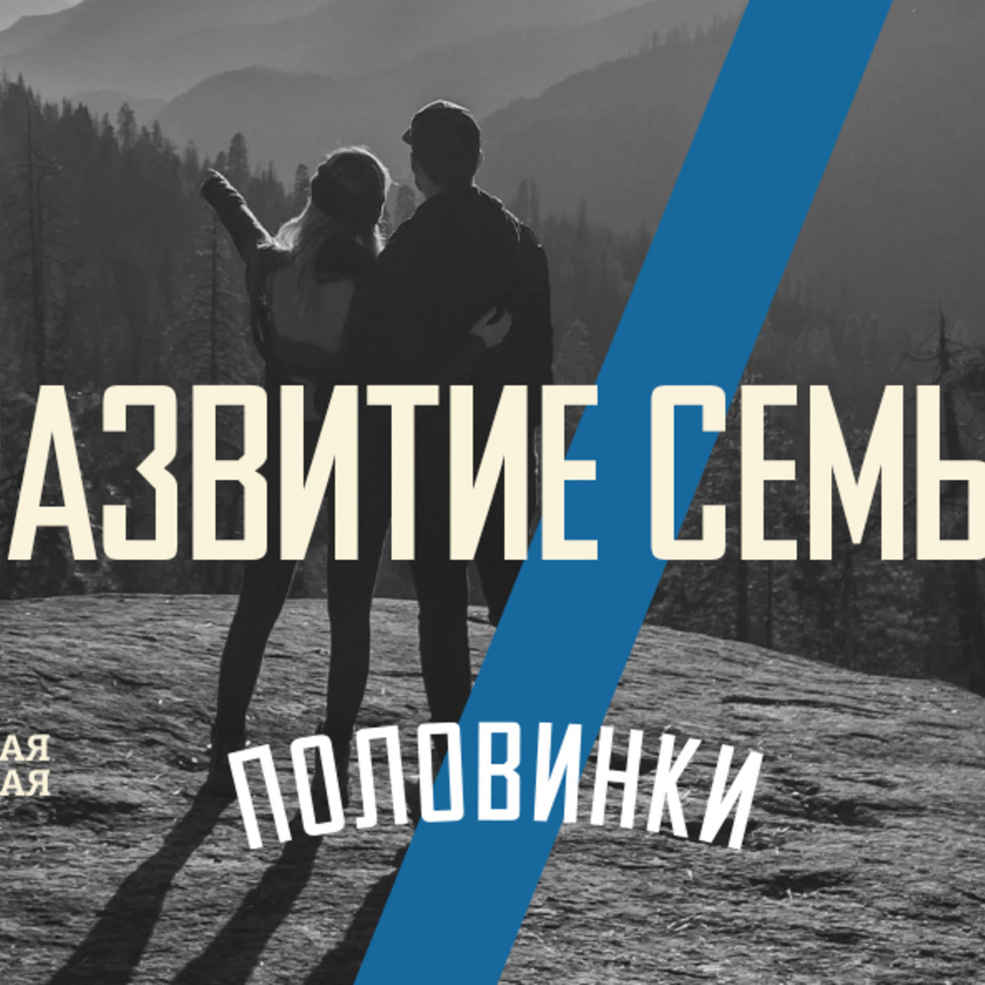 [ПОЛОВИНКИ 011] Работа над отношениями не напрасна, благодаря ей в семье всё согласно episode artwork