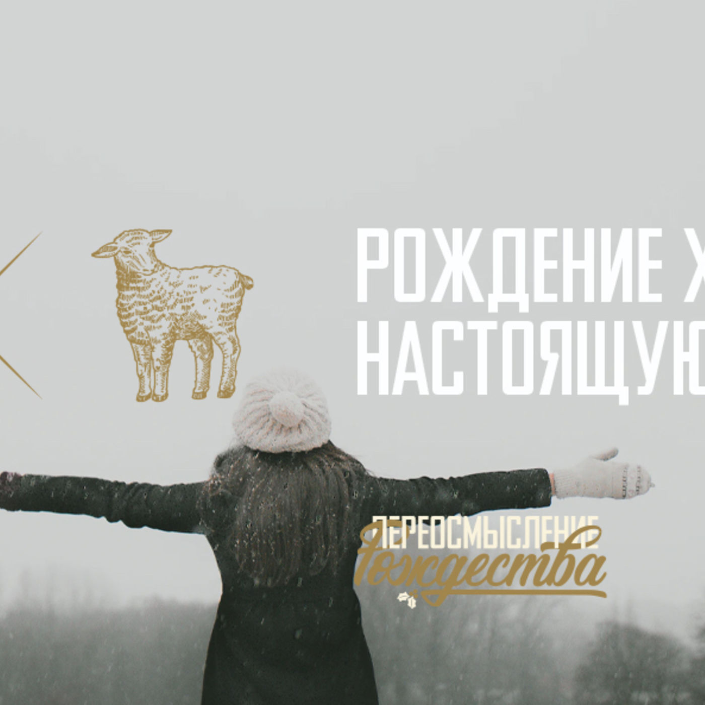 Рождение Христа даёт настоящую свободу episode artwork