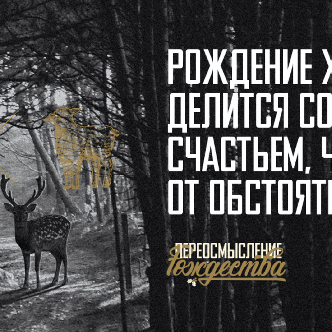 Рождение Христа делится со мной счастьем, что не зависит от обстоятельств episode artwork