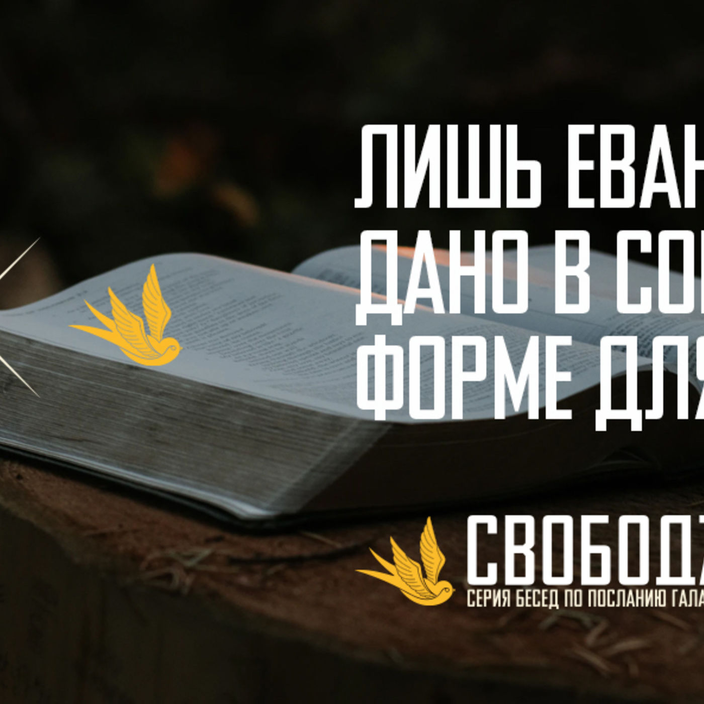 [ГАЛАТАМ 002] Лишь Евангелие Христа дано в совершенной форме для меня episode artwork