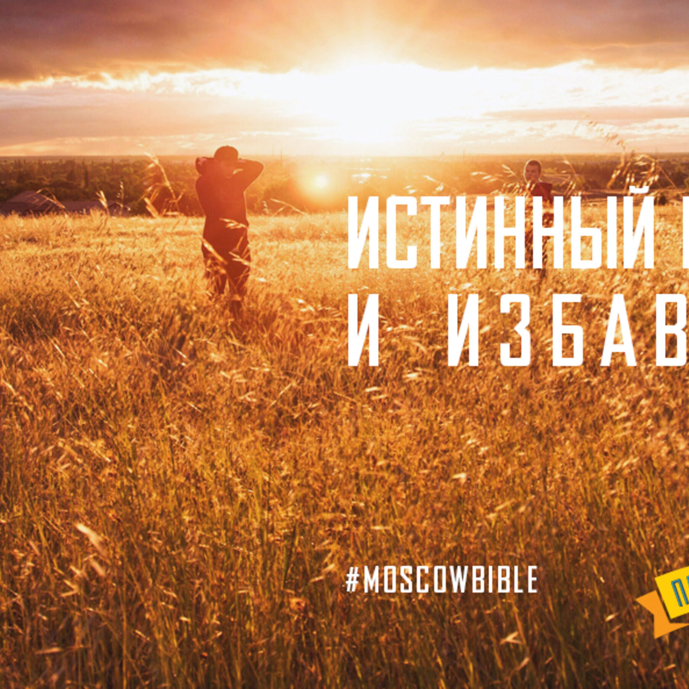 Истинный Царь не только видит боль, но и избавляет от неё episode artwork