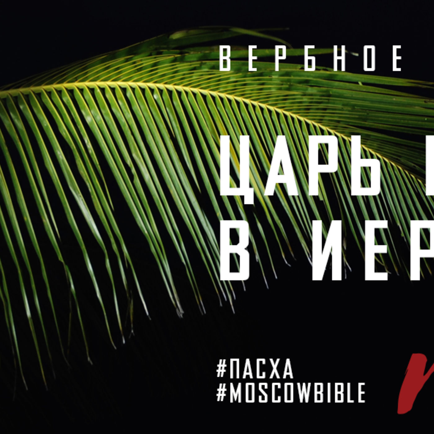 Царь въезжает в Иерусалим episode artwork