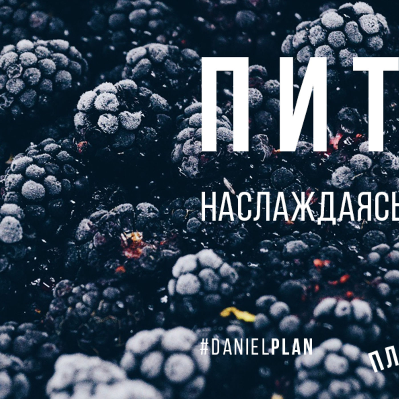 Питание: наслаждаясь Божьим изобилием episode artwork