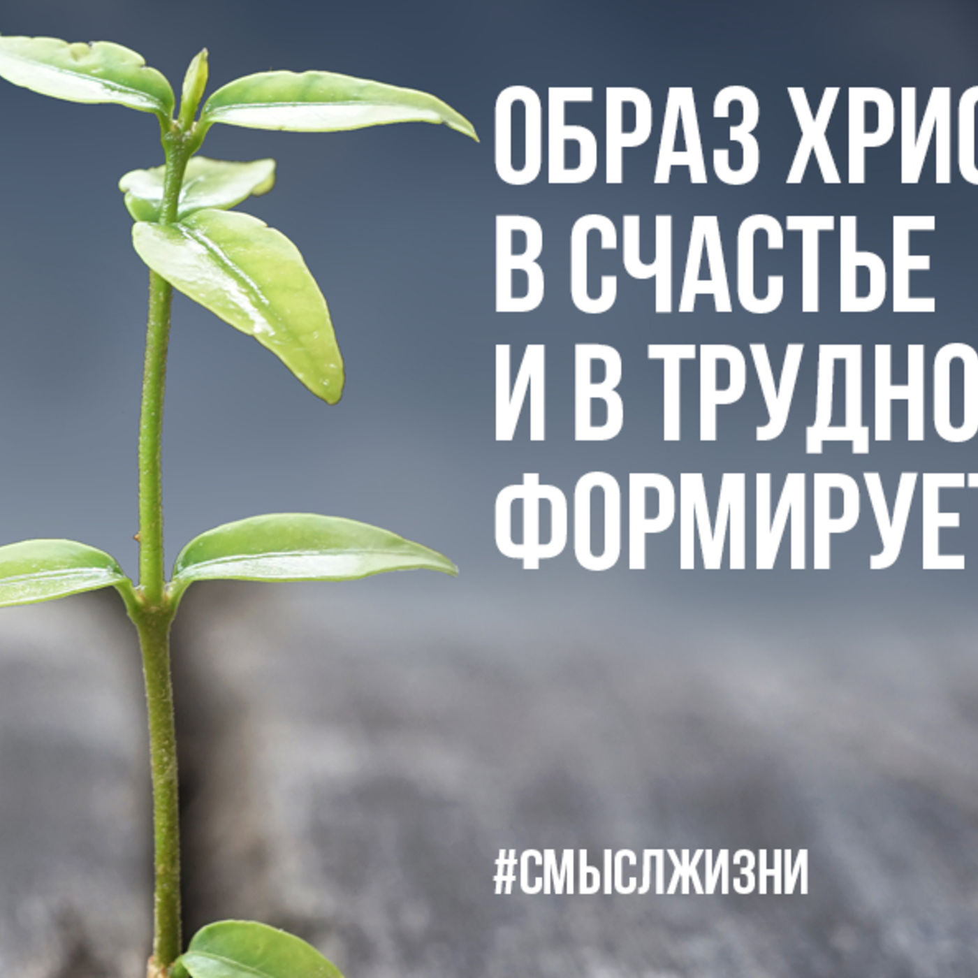 Образ Христа в счастье и в трудностях формирует меня episode artwork