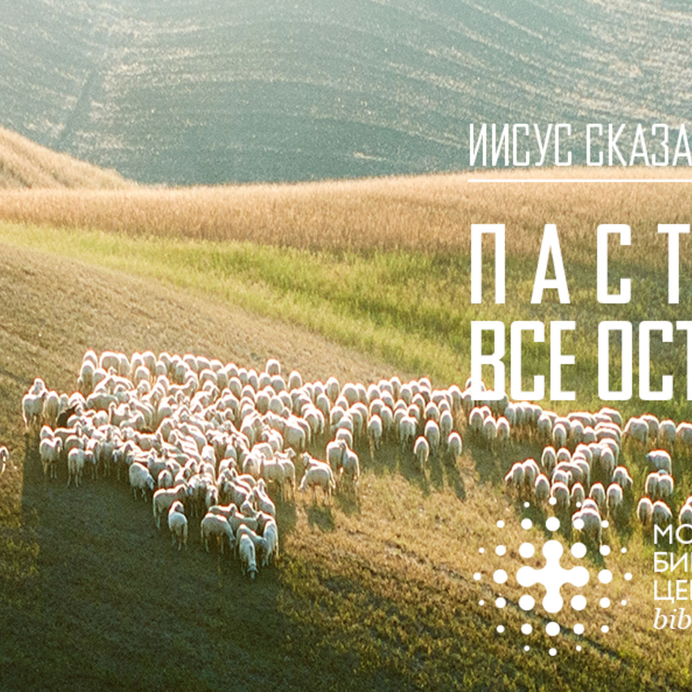 Пастух – один, все остальные – овцы episode artwork