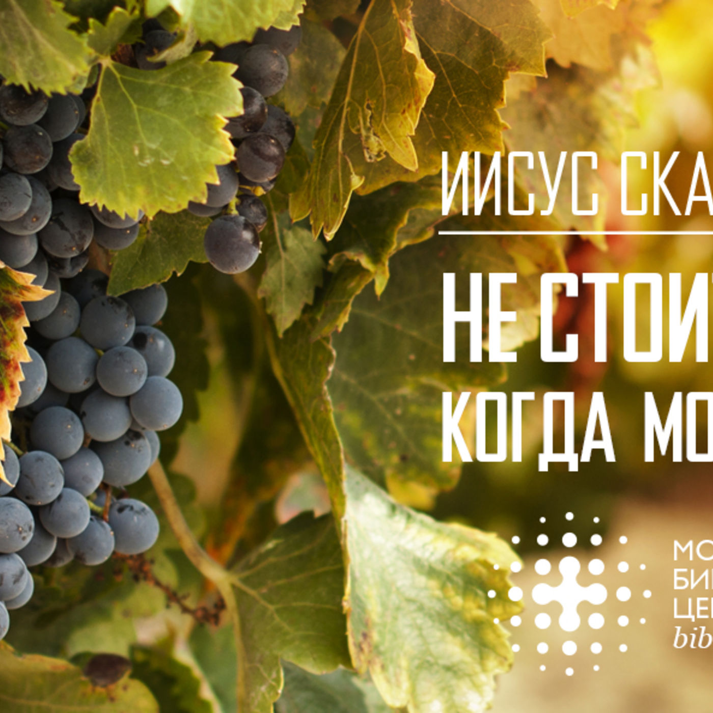 Не стоит напрягаться, когда можно наполняться episode artwork