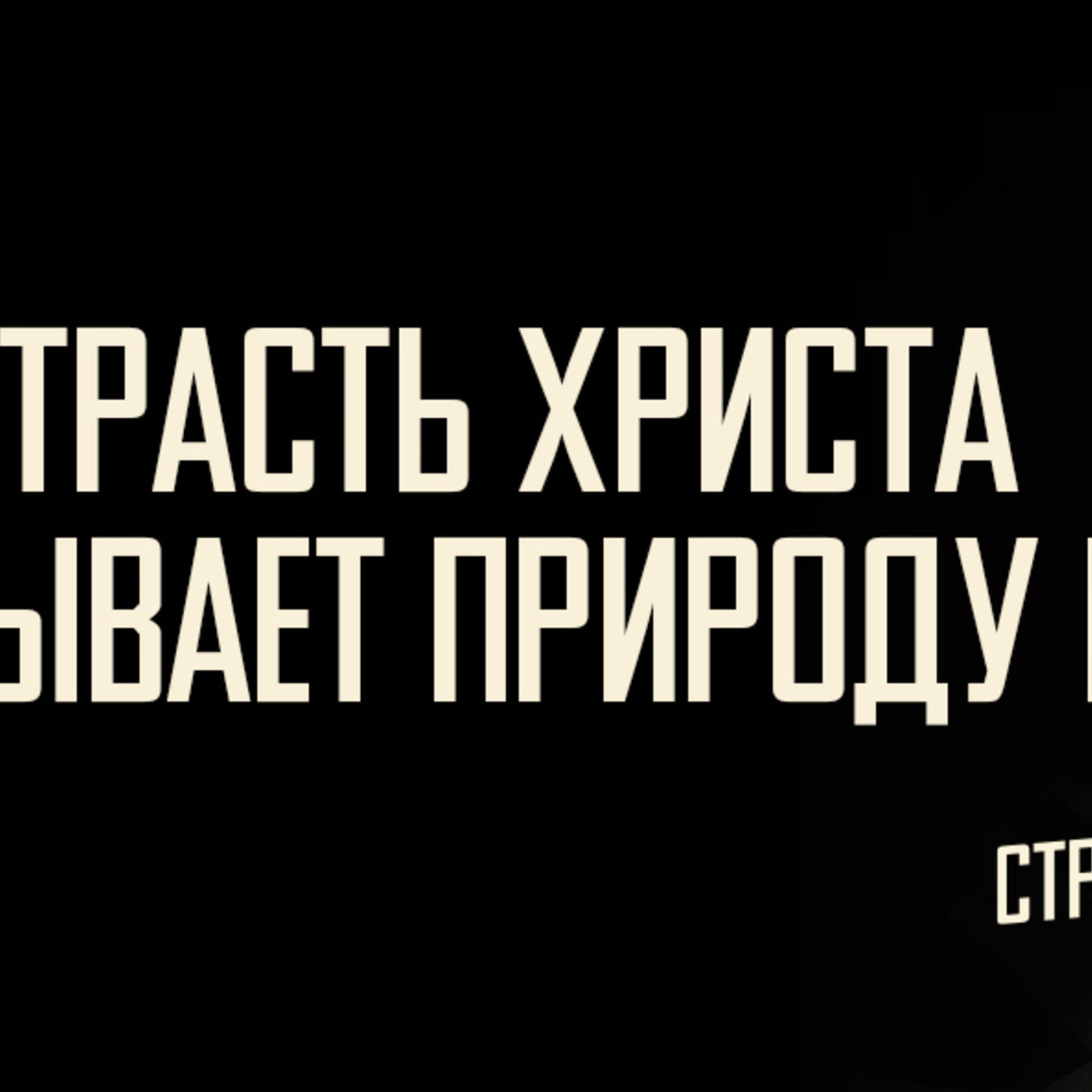 [МАТФЕЙ 106] Страсть Христа раскрывает мне природу Царя