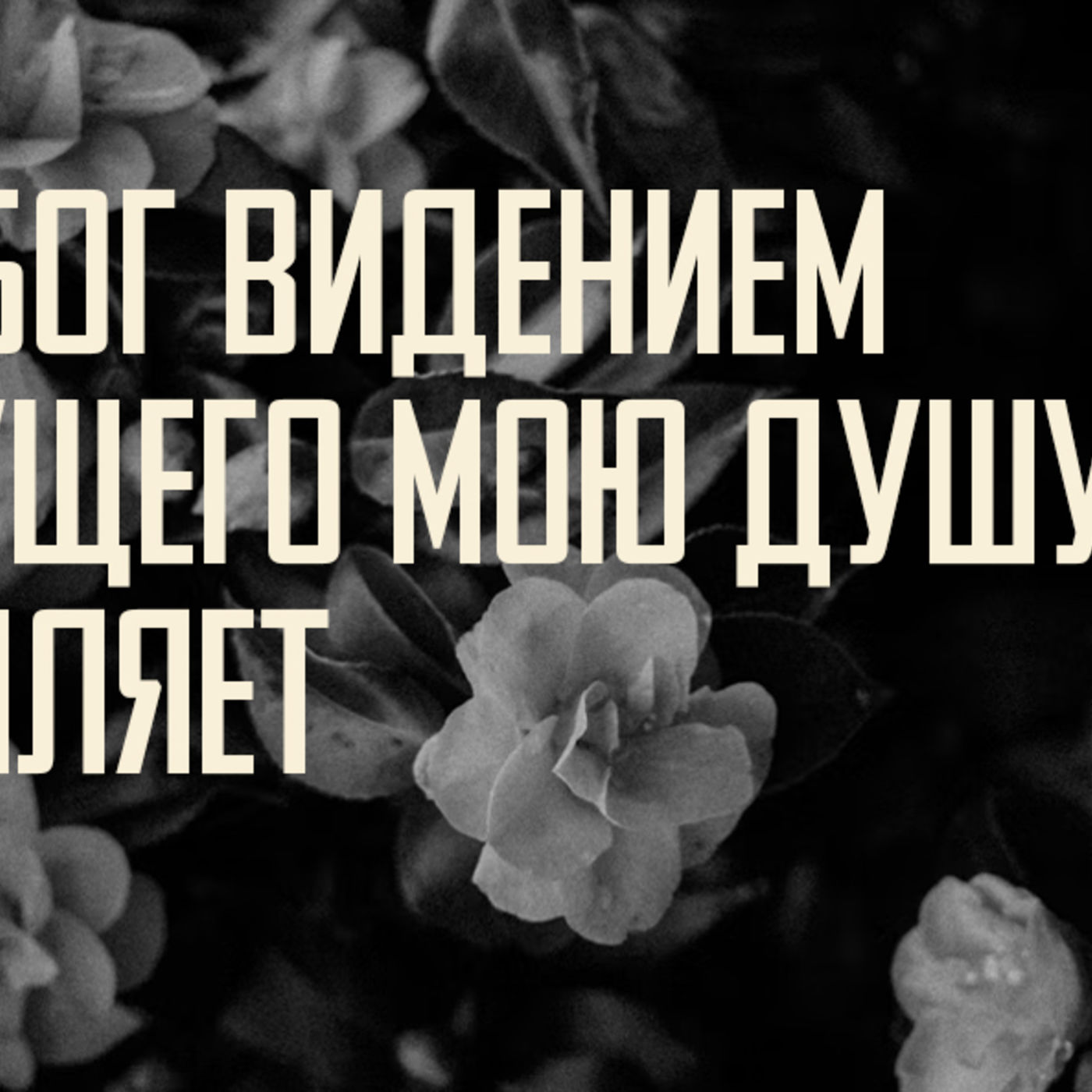 [АГГЕЙ 07] Бог видением будущего окрыляет меня