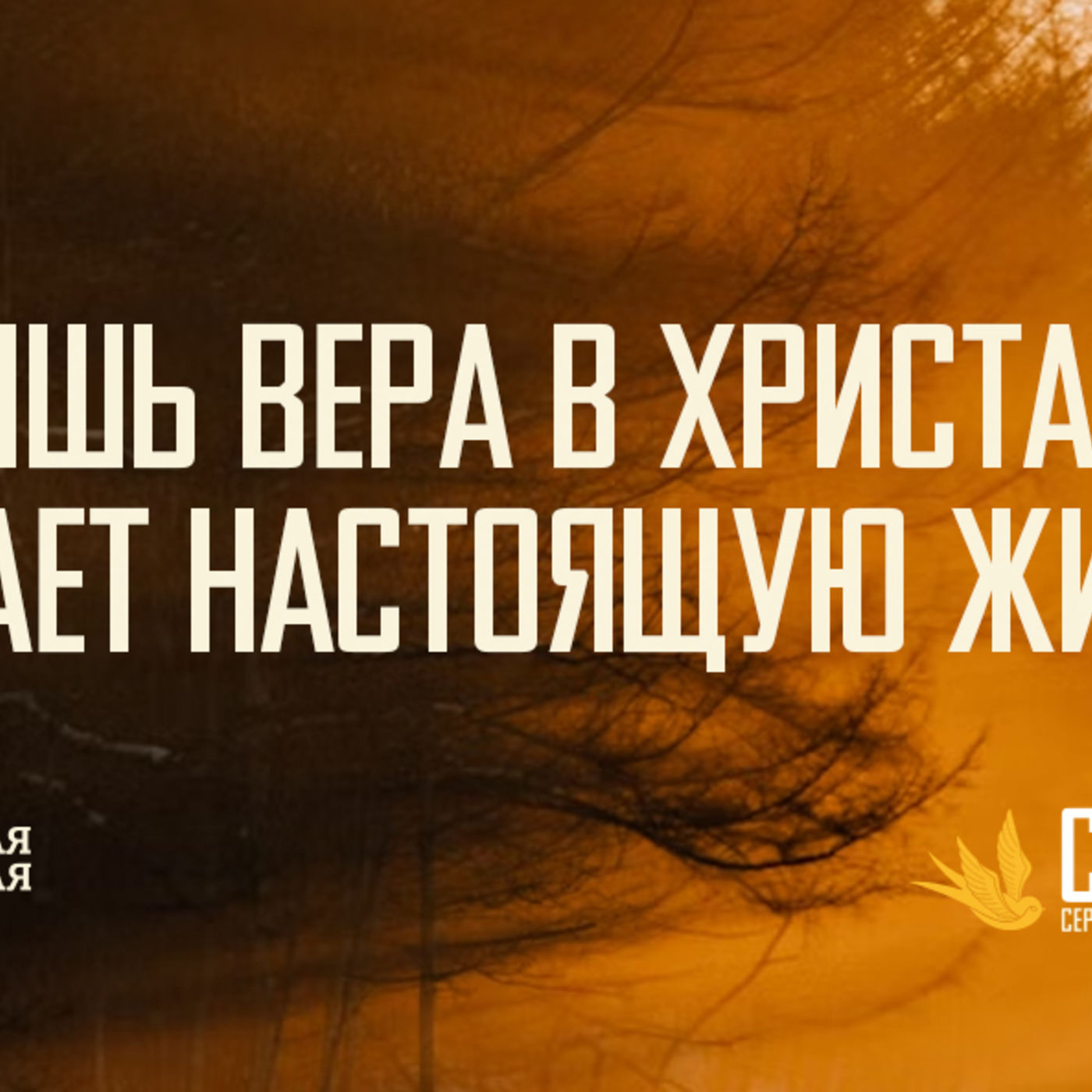 [ГАЛАТАМ 013] Лишь вера в Христа обещает настоящую жизнь