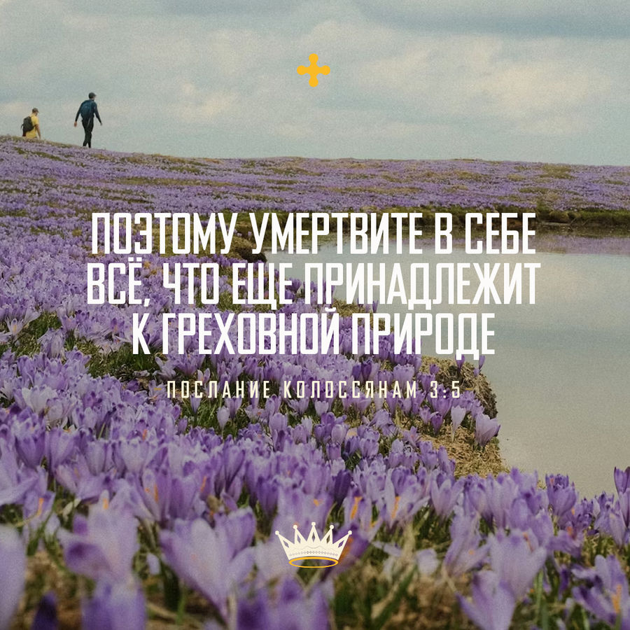 УТРЕННЕЕ РАЗМЫШЛЕНИЕ О СЛОВЕ БОЖЬЕМ