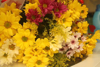 Bursdagsblomster!