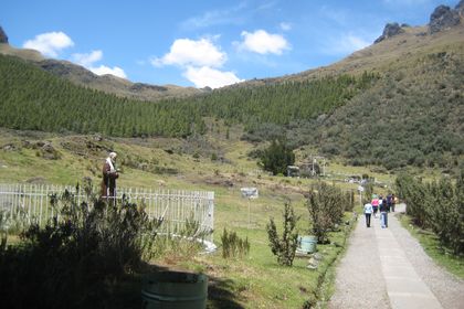 Cajas