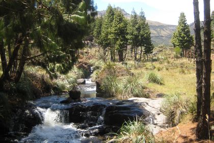 Cajas