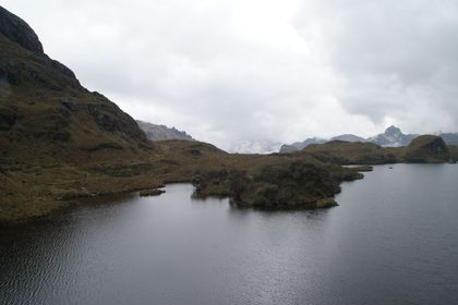 Cajas