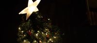Vårt fantastiske juletre