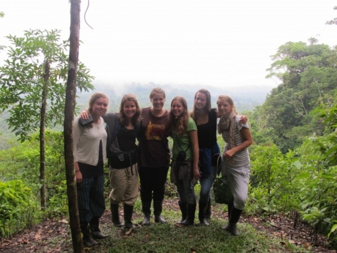 In the jungle, the mighty jungle