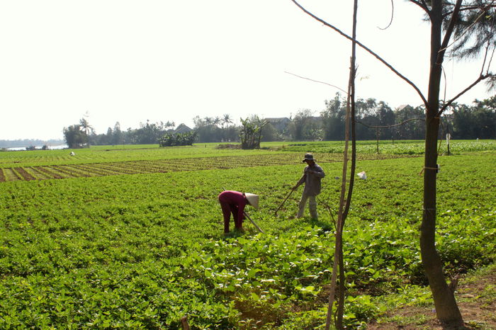 Akkurat slik vi hadde forestilt oss at Vietnam så ut