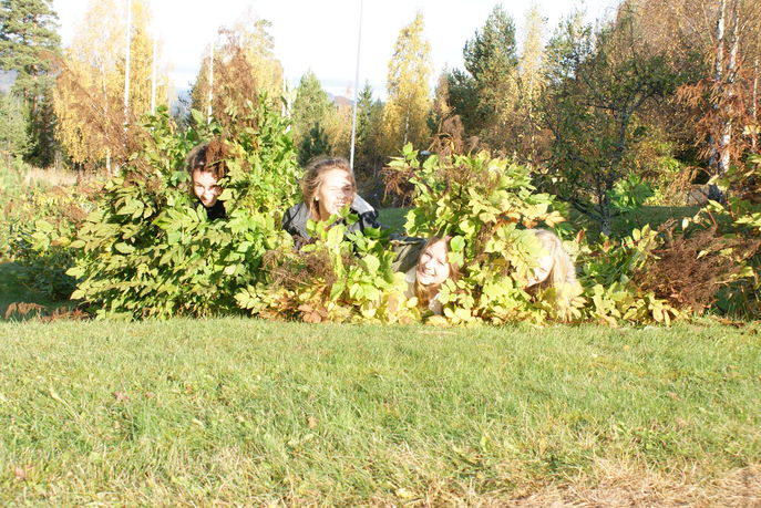 In the bush, f.v Jeanett Brakvatne, Cecilie Skomsøy, Liv Andrea Magnussen, Linda Elise Bakke