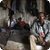 В Эритрее более тысячи христиан «подпольных» церквей находятся в тюрьмах