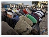 Египетские христиане защищают собой молящихся мусульман