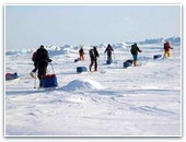Завершилась историческая экспедиция на Южный полюс.