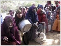 Христианская организация "Christian Aid" обращает внимание на существующий в Восточной Африке голод