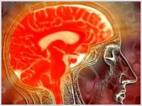 Ученые обнаружили четкие отличия в работе мозга атеистов и верующих