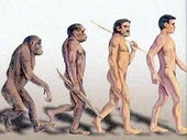 Почти четверть россиян верят, что человека создал Бог, а доля сторонников эволюционной теории снижается
