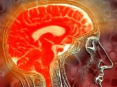 Ученые обнаружили четкие отличия в работе мозга атеистов и верующих