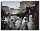 В Алжире мусульмане атаковали богослужение протестантской общины