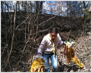 Адвентисты очистили лесопарк от мусора