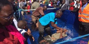 В Зимбабве примут крещение 30000 человек