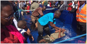 В Зимбабве примут крещение 30000 человек