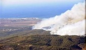 Пожар на севере Израиля затихает, арестованы подозреваемые в поджоге
