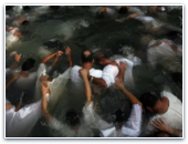 Общемосковское крещение на Крещение