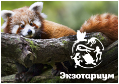 Открытие Экзоопарка в РИО!