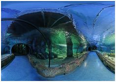 3D панорама океанариума 