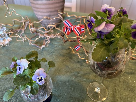 Nasjonalfest på Solhaug 17. mai