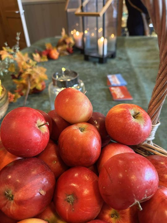 Aktivitetsdag på Solhaug - ble en suksess