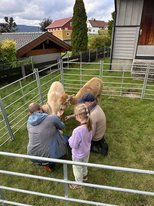 Aktivitetsdag på Solhaug - ble en suksess