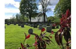 Feste- og gravstellavgift 2026