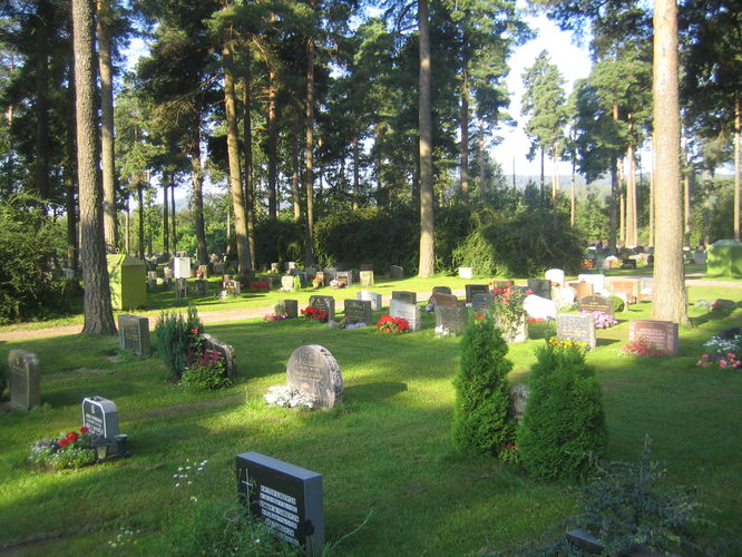 Nenset kirkegård med gravminner. Trær