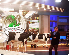 Дойные Коровы на съемках передачи "Естественный отбор"