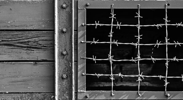 Foto: Majkl Velner / Unsplash.com